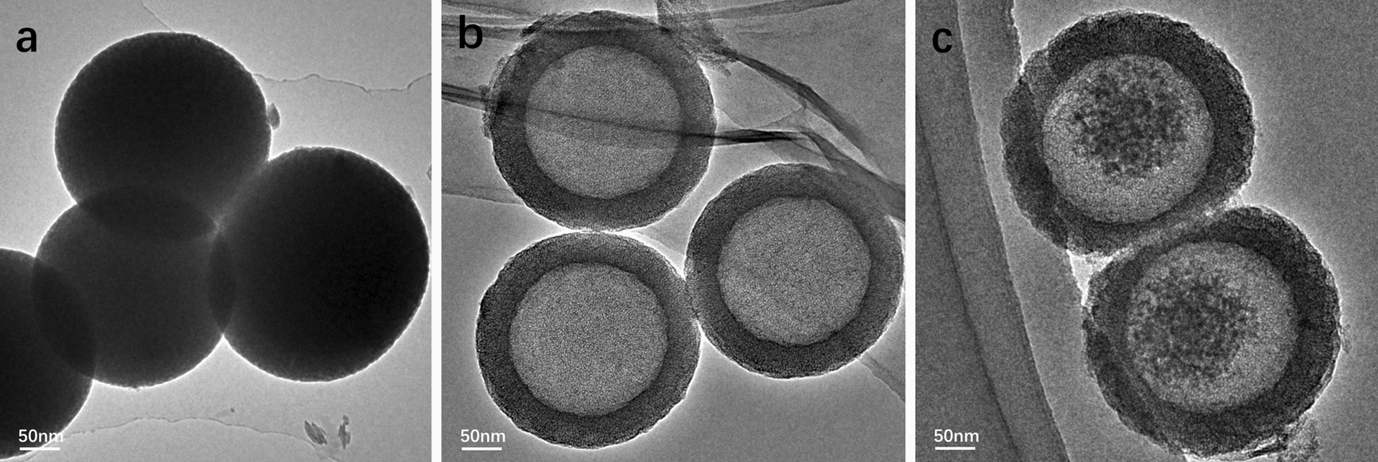 Fig. 1