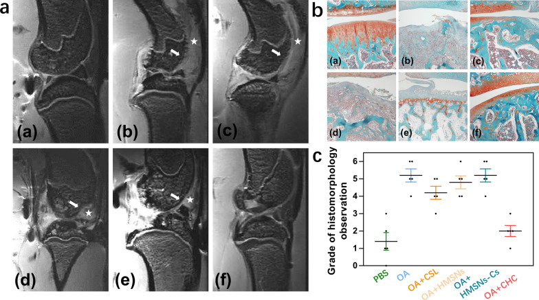 Fig. 8