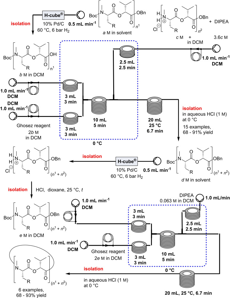 Scheme 10