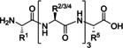 graphic file with name CSSC-15-0-g101.jpg
