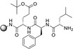 graphic file with name CSSC-15-0-g094.jpg