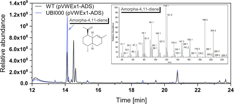 FIGURE 3