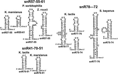 FIG. 3.