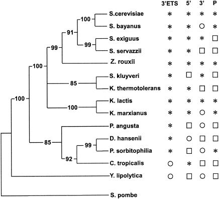 FIG. 5.