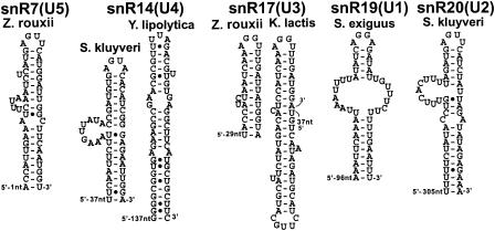 FIG. 4.