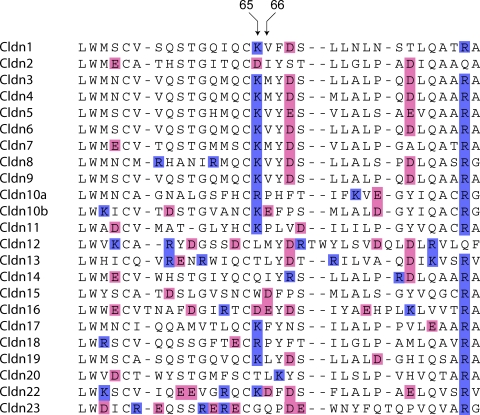 Figure 12.