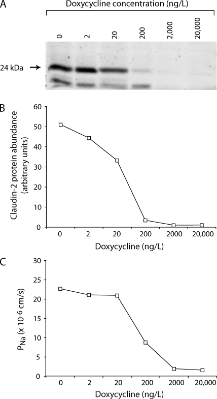 Figure 6.