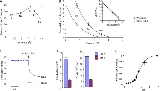 Figure 7.