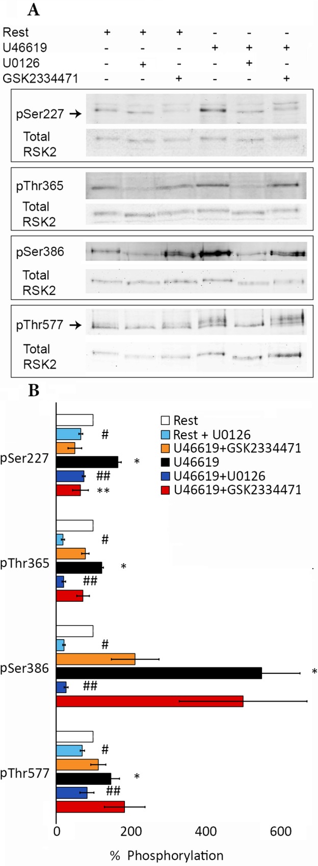 Fig 8