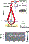 Figure 2.