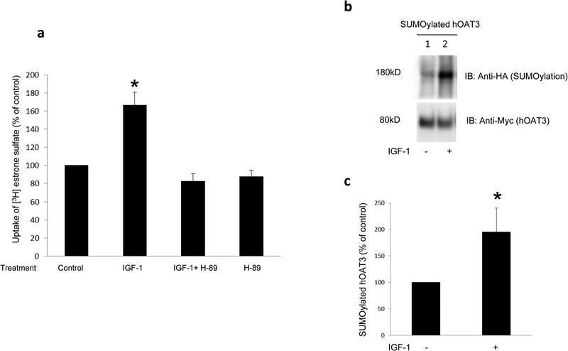 Fig. 9.