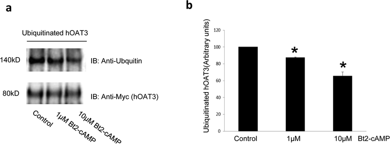 Fig. 8.