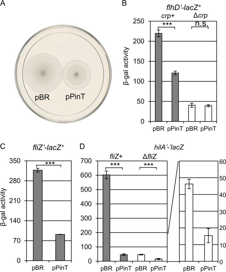 FIG 6