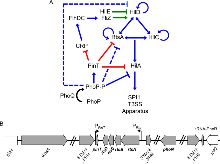 FIG 1