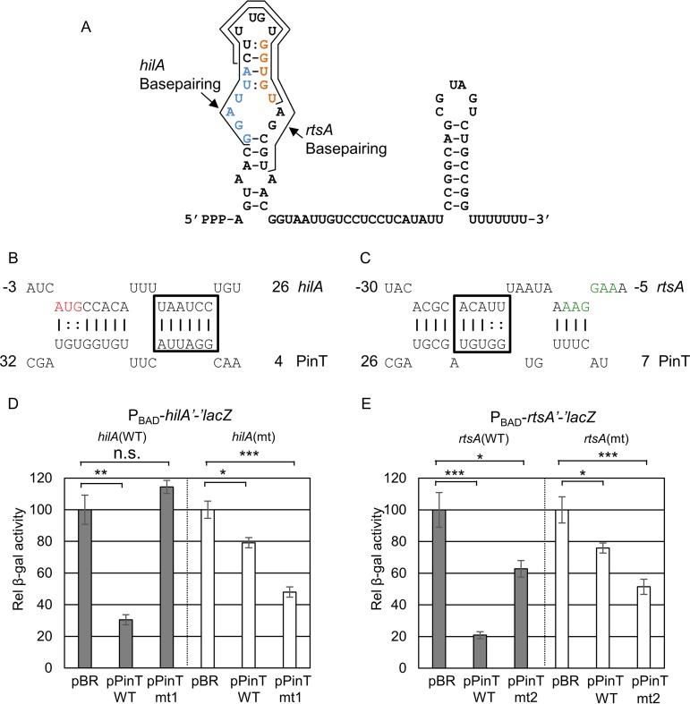 FIG 3