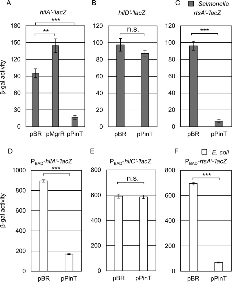 FIG 2