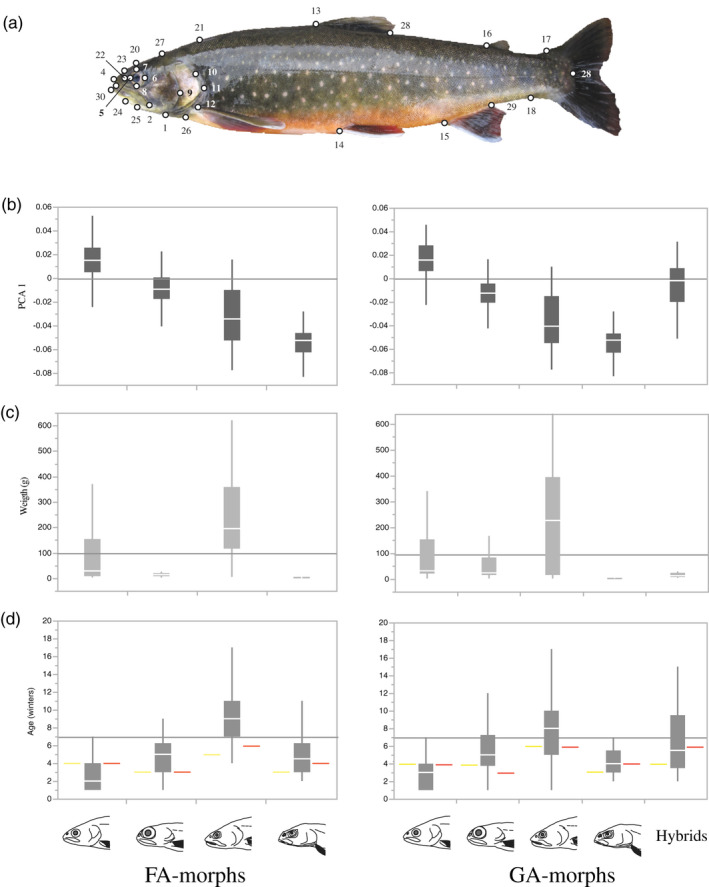 FIGURE 3