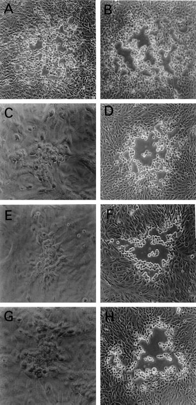 FIG. 6