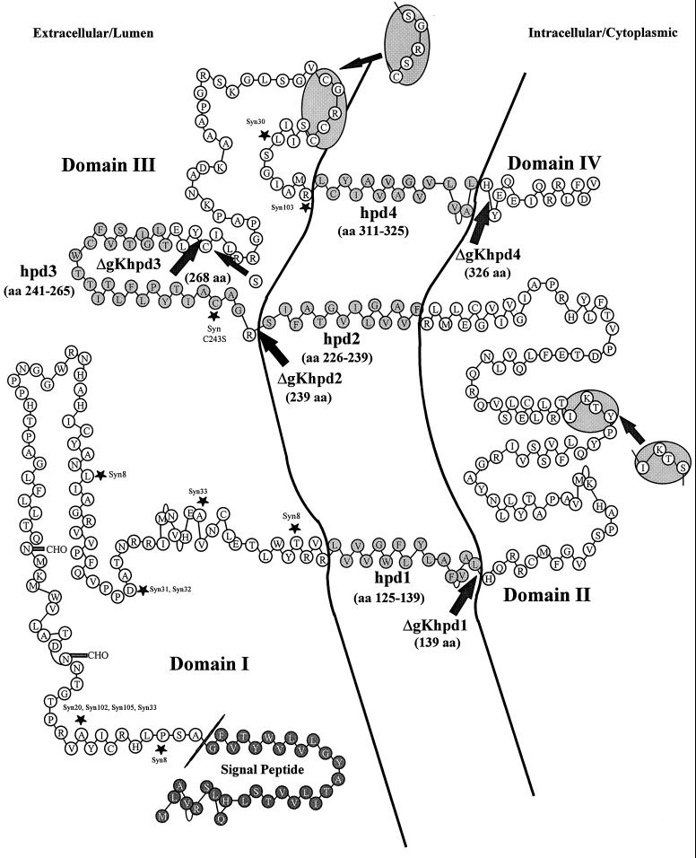 FIG. 7