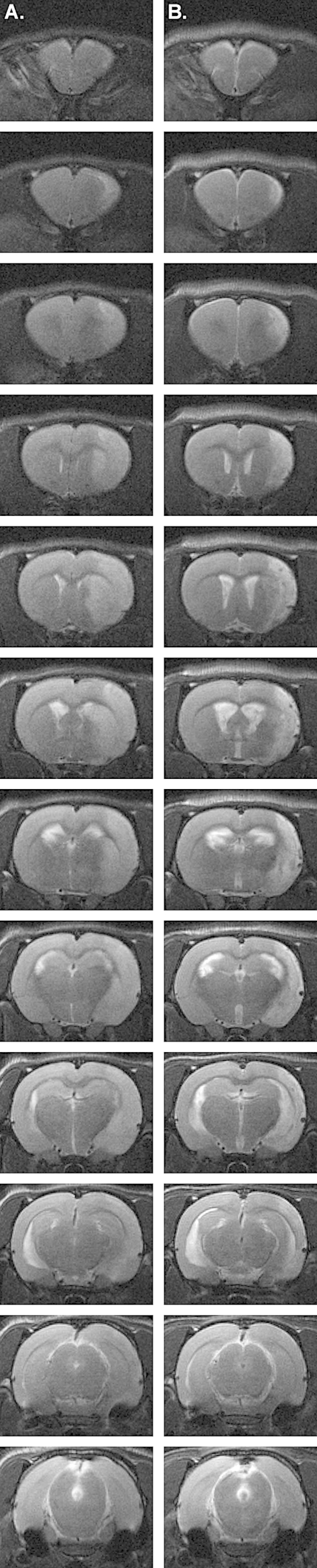 Fig. 13