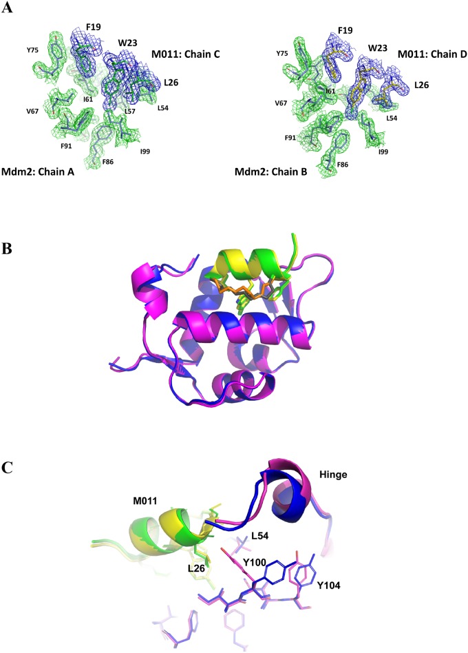 Fig 2