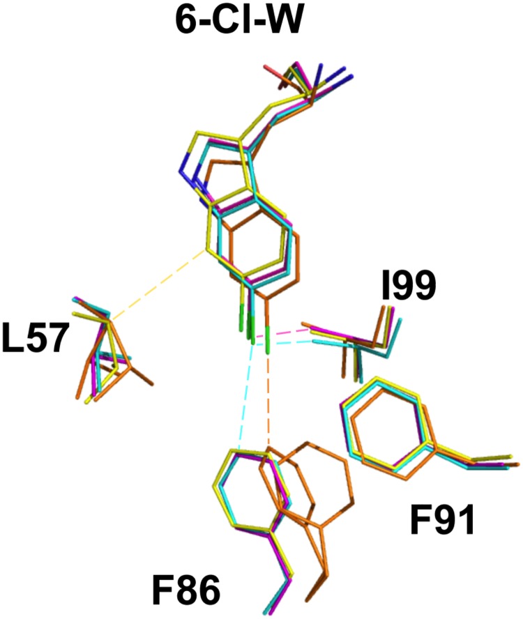 Fig 6