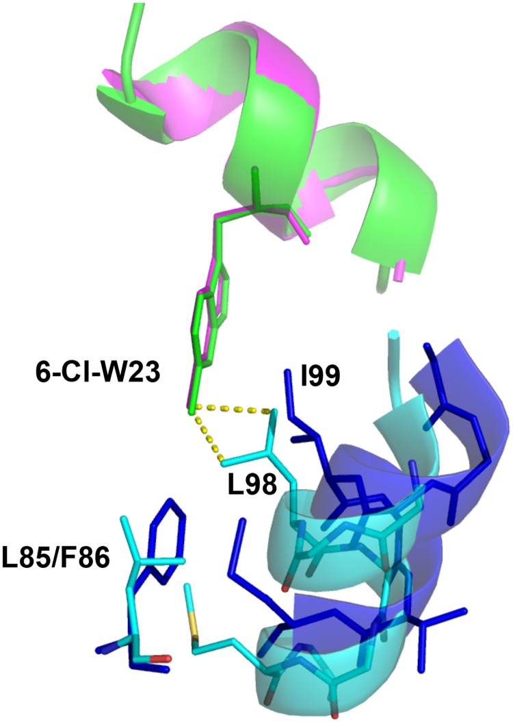 Fig 5