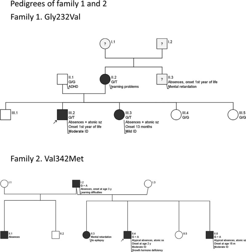 FIGURE 1