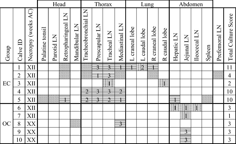 graphic file with name 13567_2018_566_Tab3_HTML.jpg