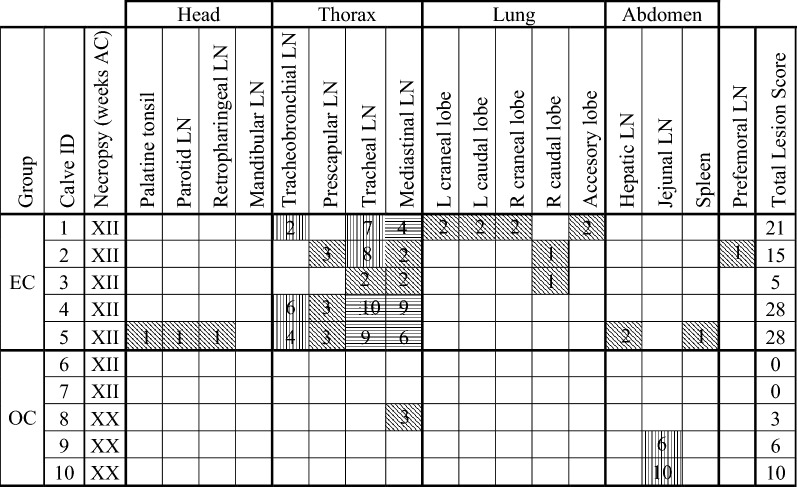 graphic file with name 13567_2018_566_Tab2_HTML.jpg