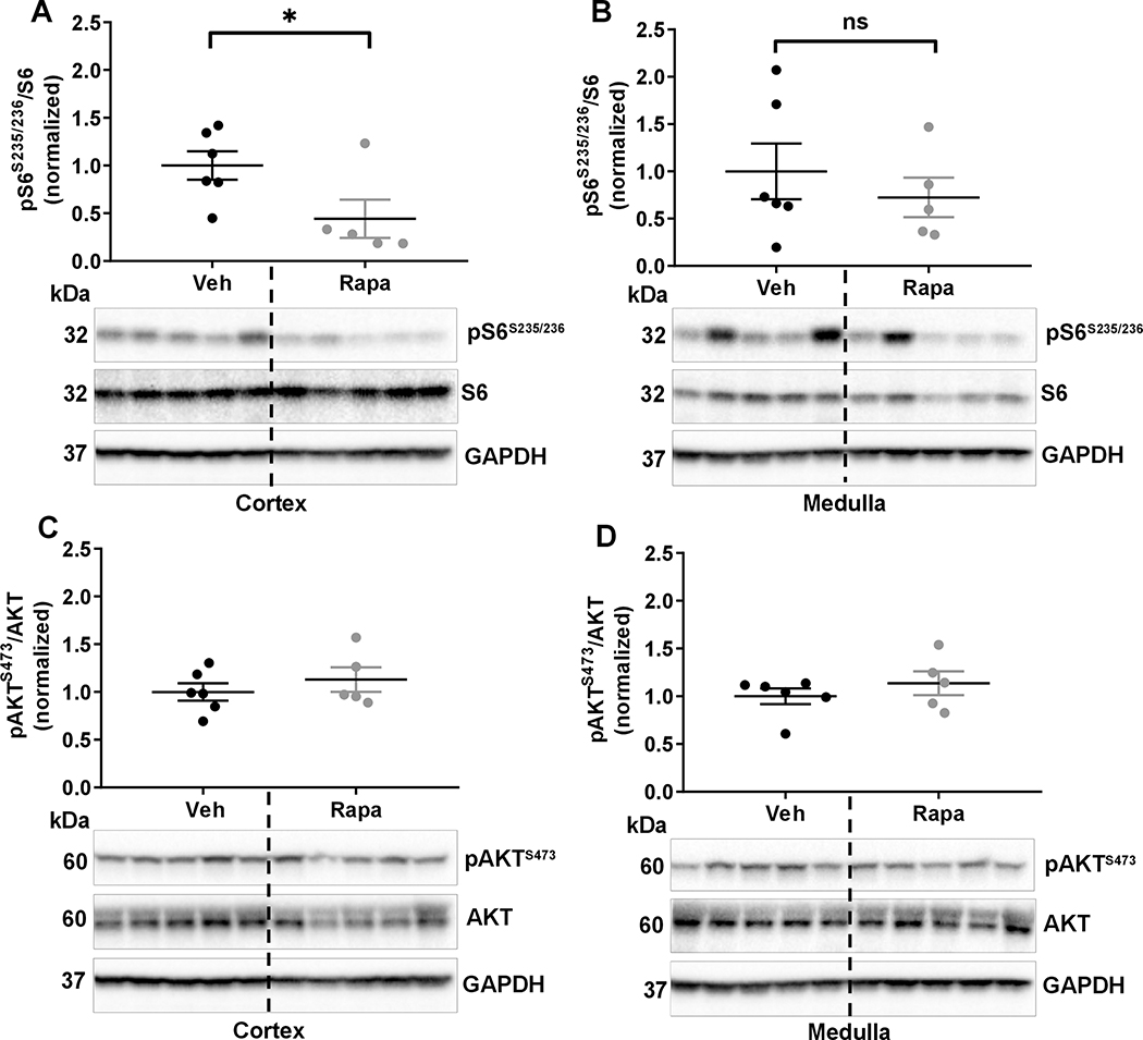 Figure 6: