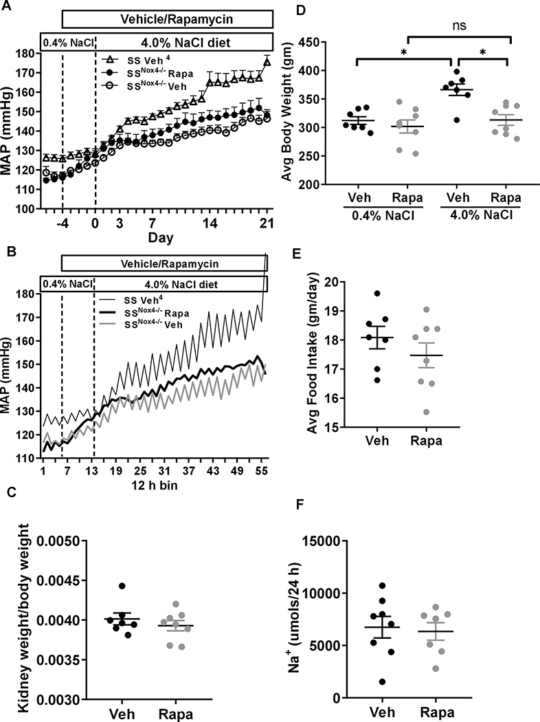 Figure 3: