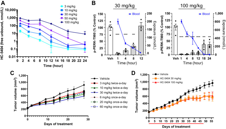 Figure 2. In vivo characterization of HC-5404. A, Free drug levels of HC-5404 in mouse plasma following single oral administration (PO). Plasma sampled across a 24-hour period and quantified by LC/MS-MS. Data represent mean ± SEM, n = 3 mice per group. B, Mouse pancreas pPERK levels and plasma exposure following oral administration of HC-5404 at 30 and 100 mg/kg. Data represent mean ± SEM, n = 3 mice per group. C, 786-O xenografts treated with HC-5404 at multiple dose levels and treatment regimens for 28 days. Values represent mean tumor volume ± SEM, n = 10 mice per group. Statistical analysis of final tumor volume found in Supplementary Fig. S2C. D, Mice harboring subcutaneous CAPAN-2 pancreatic tumor xenografts treated with HC-5404 at 30 and 100 mg/kg orally twice-a-day for 48 days (n = 10 mice per group).