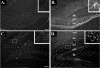 FIG. 4.