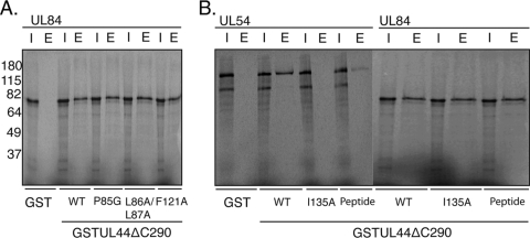 FIG. 5.