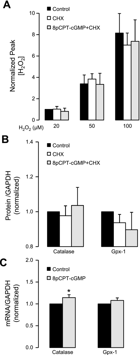 Fig. 9.