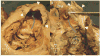Figure 29