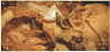 Figure 30