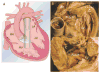 Figure 23