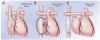 Figure 38