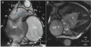 Figure 40
