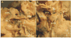 Figure 22
