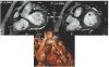 Figure 27