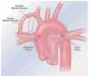 Figure 31