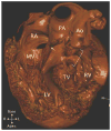 Figure 17