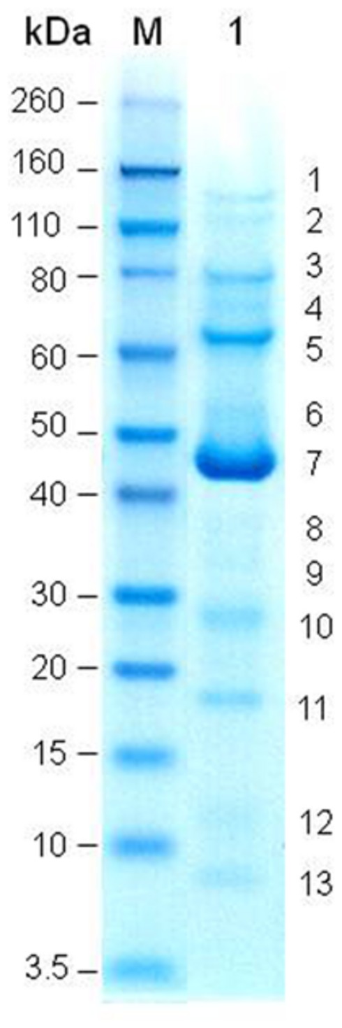 FIGURE 3