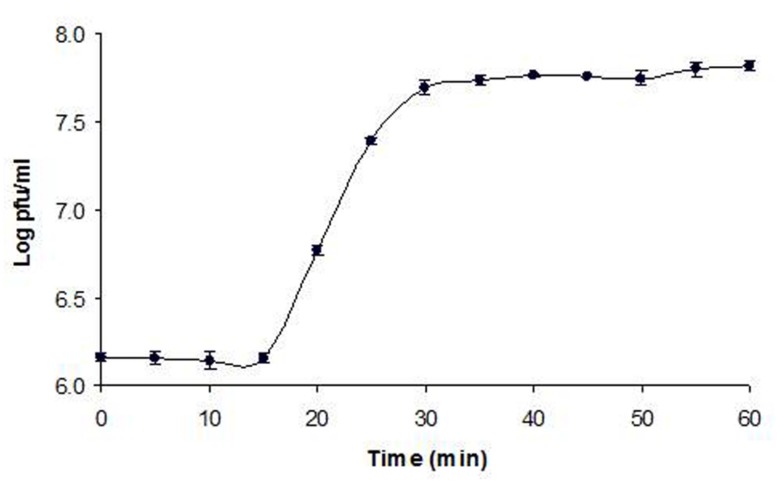 FIGURE 2