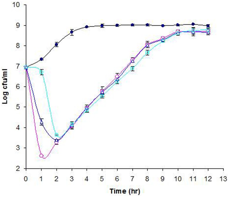 FIGURE 5