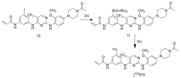 Scheme 2