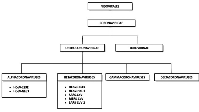 Figure 1.